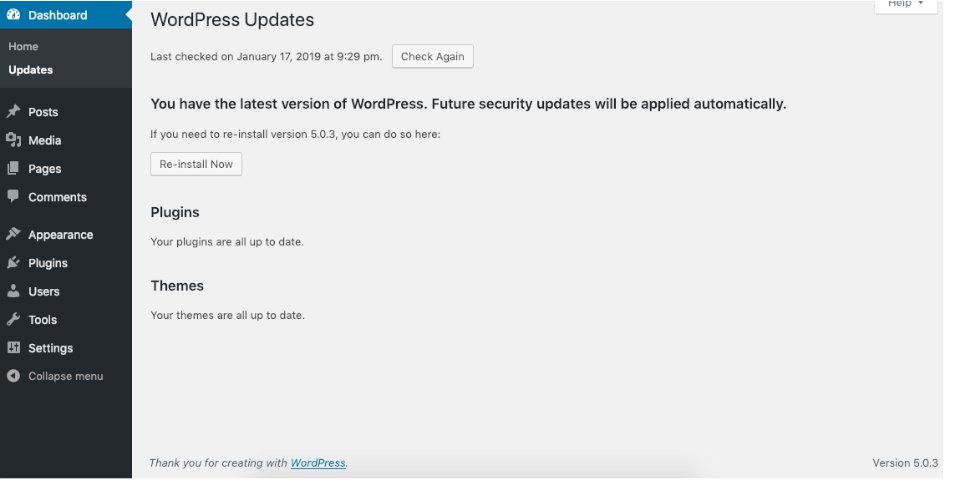 The Updates screen in the dashboard, with sections for WordPress, plugins and themes.